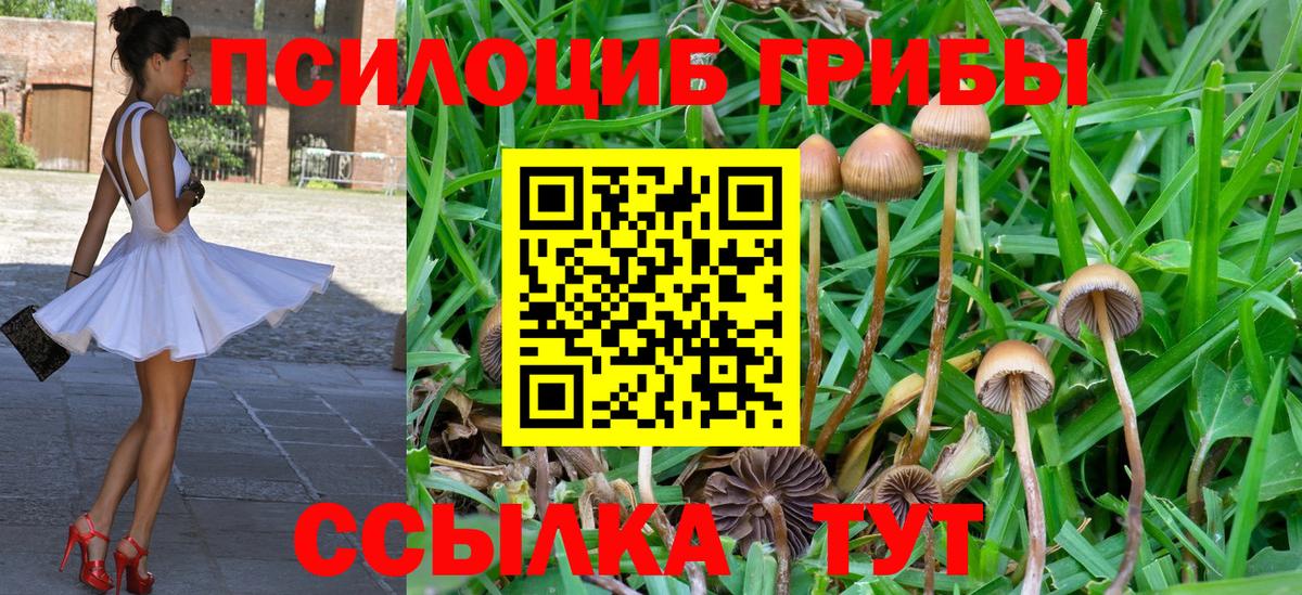 Галлюциногенные грибы Psilocybine cubensis  Псилоцибиновые грибы Psilocybe  Курганинск  Вход с VPN 